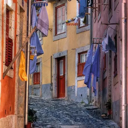 Daire Charming Ii Historical Center *
